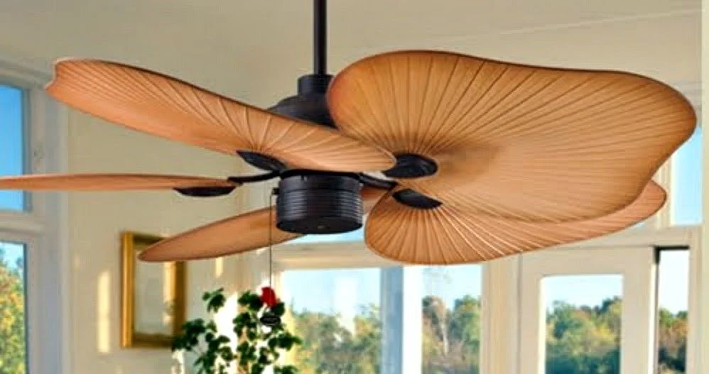 Ceiling Fan Installation